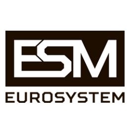 Eurosystem (ESM) logo